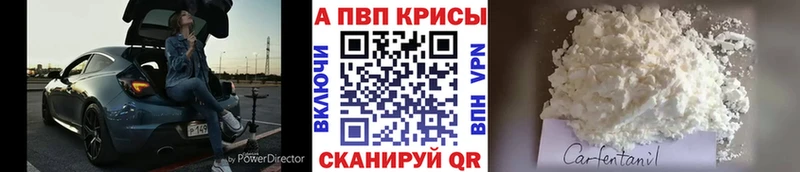 купить   сайты даркнета телеграм  Alfa_PVP крисы CK  Дальнереченск 