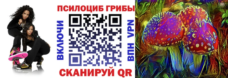 дарнет шоп  mega как зайти  Псилоцибиновые грибы прущие грибы  Дальнереченск 